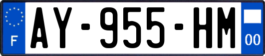 AY-955-HM