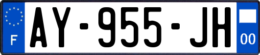 AY-955-JH