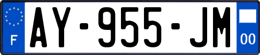 AY-955-JM