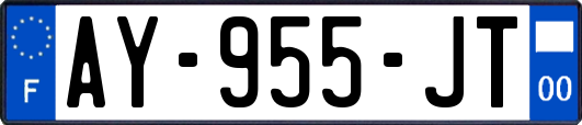 AY-955-JT