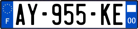 AY-955-KE