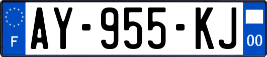 AY-955-KJ