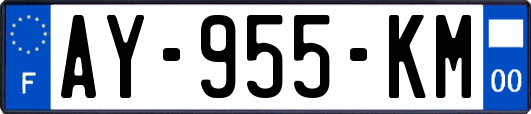 AY-955-KM