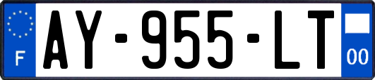 AY-955-LT