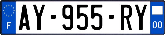 AY-955-RY