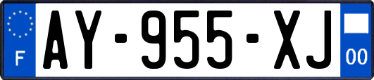 AY-955-XJ