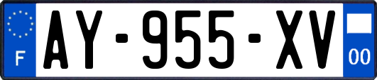 AY-955-XV
