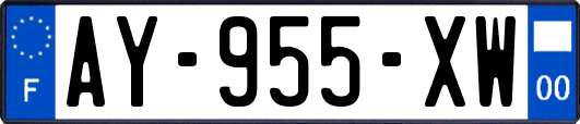 AY-955-XW