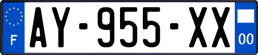 AY-955-XX