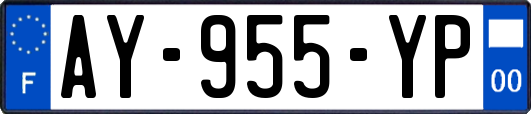 AY-955-YP