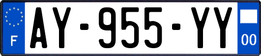 AY-955-YY