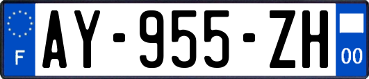 AY-955-ZH