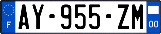 AY-955-ZM