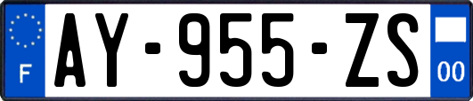 AY-955-ZS