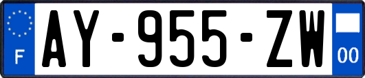 AY-955-ZW