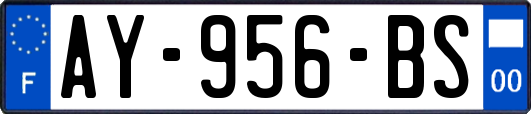 AY-956-BS