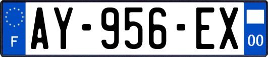 AY-956-EX