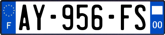 AY-956-FS