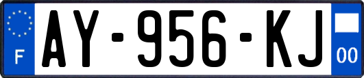 AY-956-KJ