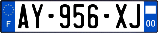 AY-956-XJ