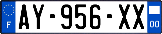 AY-956-XX
