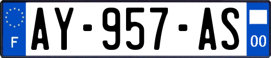 AY-957-AS