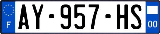 AY-957-HS