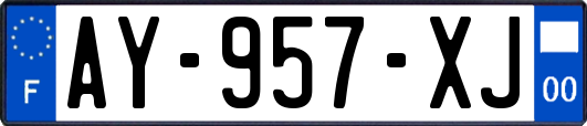 AY-957-XJ