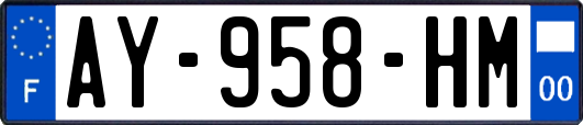 AY-958-HM