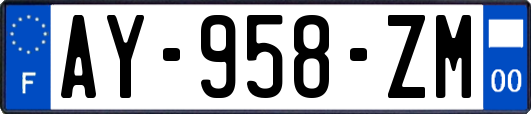AY-958-ZM