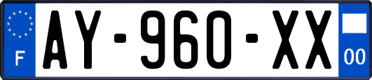 AY-960-XX
