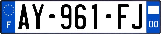 AY-961-FJ