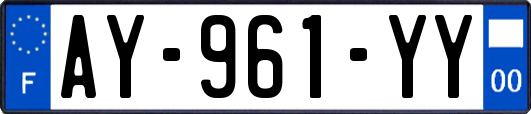 AY-961-YY