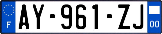 AY-961-ZJ
