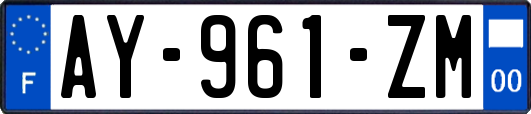AY-961-ZM