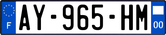 AY-965-HM