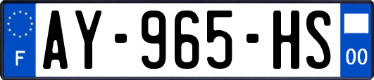 AY-965-HS