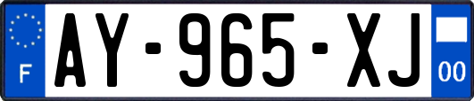 AY-965-XJ