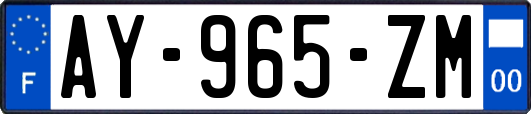 AY-965-ZM