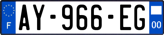 AY-966-EG
