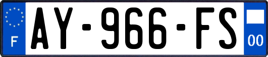 AY-966-FS