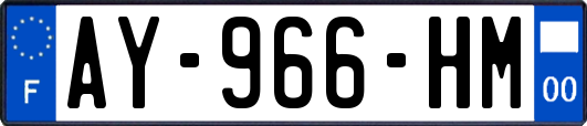 AY-966-HM