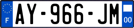 AY-966-JM