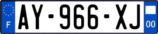 AY-966-XJ