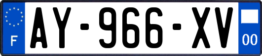 AY-966-XV