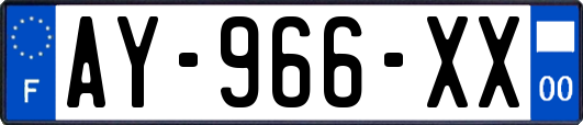 AY-966-XX