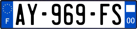 AY-969-FS