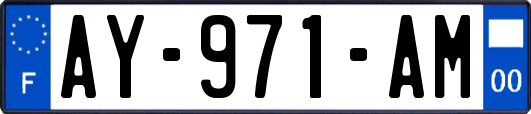 AY-971-AM