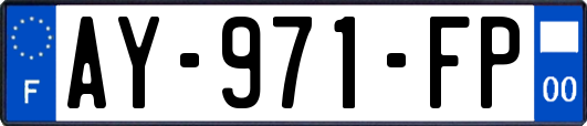 AY-971-FP