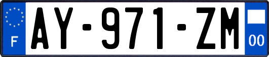 AY-971-ZM